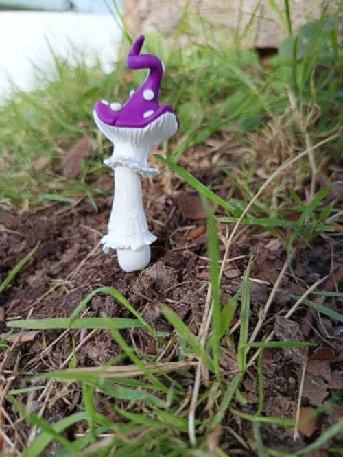 champignon à piquer 