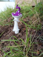 champignon à piquer 