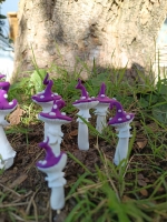 champignon à piquer 
